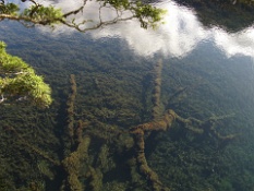 Detail of the Mirror Lakes Clarity  Detail of the Mirror Lakes Clarity